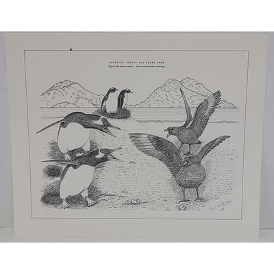 Bill White The Penguins of Macquarie Island Hand Finished Limited Prints