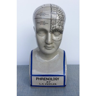 Display Unit - Reproduction Fowler Phrenology Head