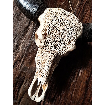 Large Genuine Hand Carved Buffalo Skull