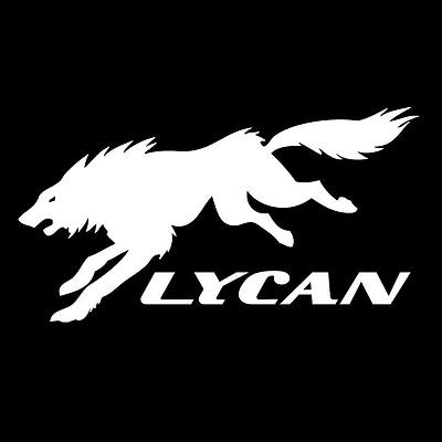 Lycan hockey stick and bag