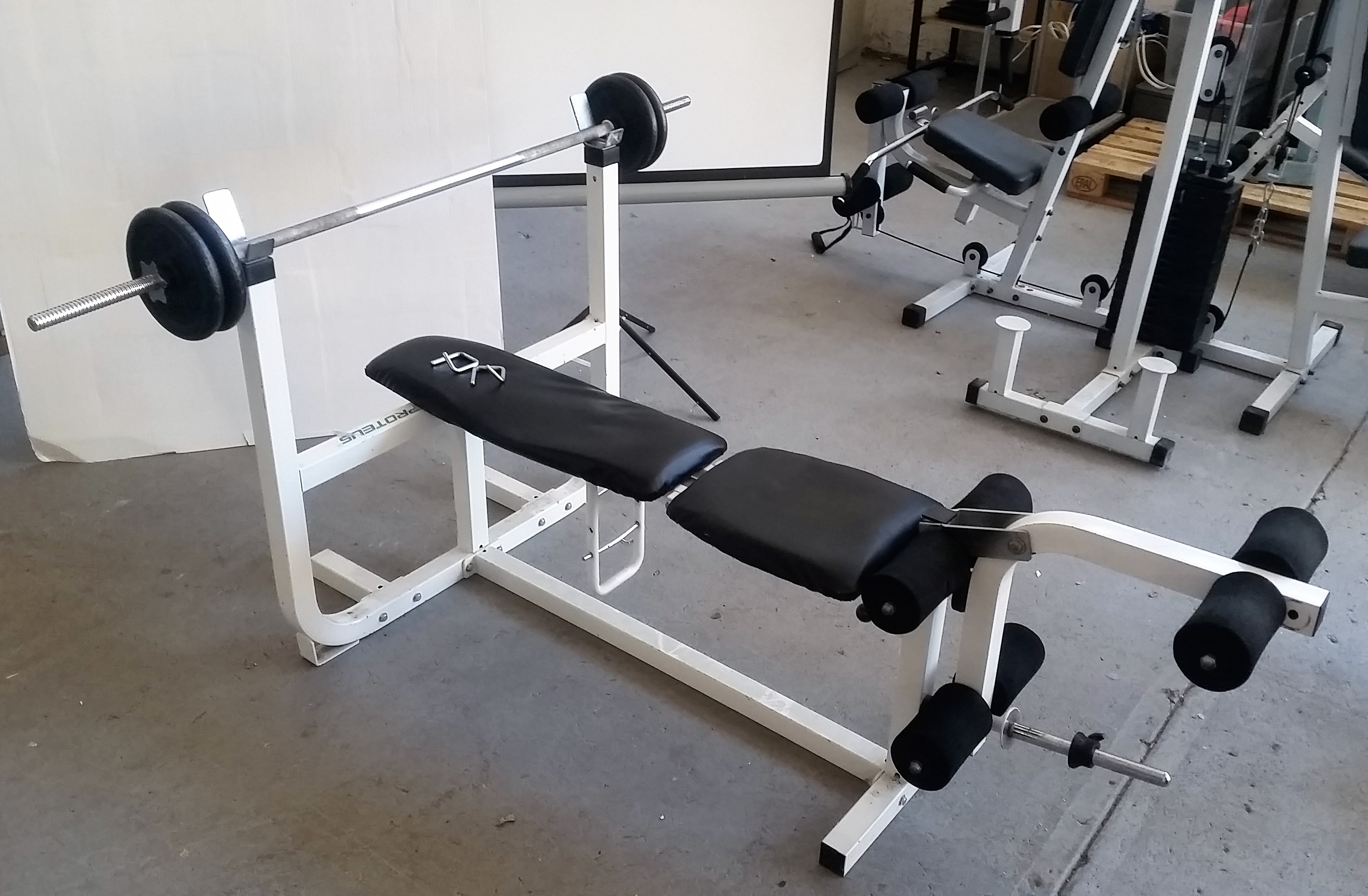 Proteus Bench Press with 20Kg Weights Lot 866884 ALLBIDS