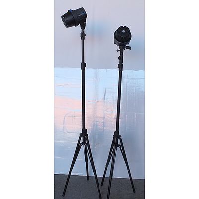 Pair of Elinchrom D-Lite RX One Studio Lights, Stands, Flash Head Kit with Umbrellas