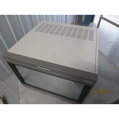 Sony Multiformat 24 Inch Trinitron Colour Video Monitor Model Bvm-D24E1Wa