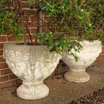 Pair of Massive Vintage Greco Roman Style Concrete Garden Urns with Gardenia and Rhododendron