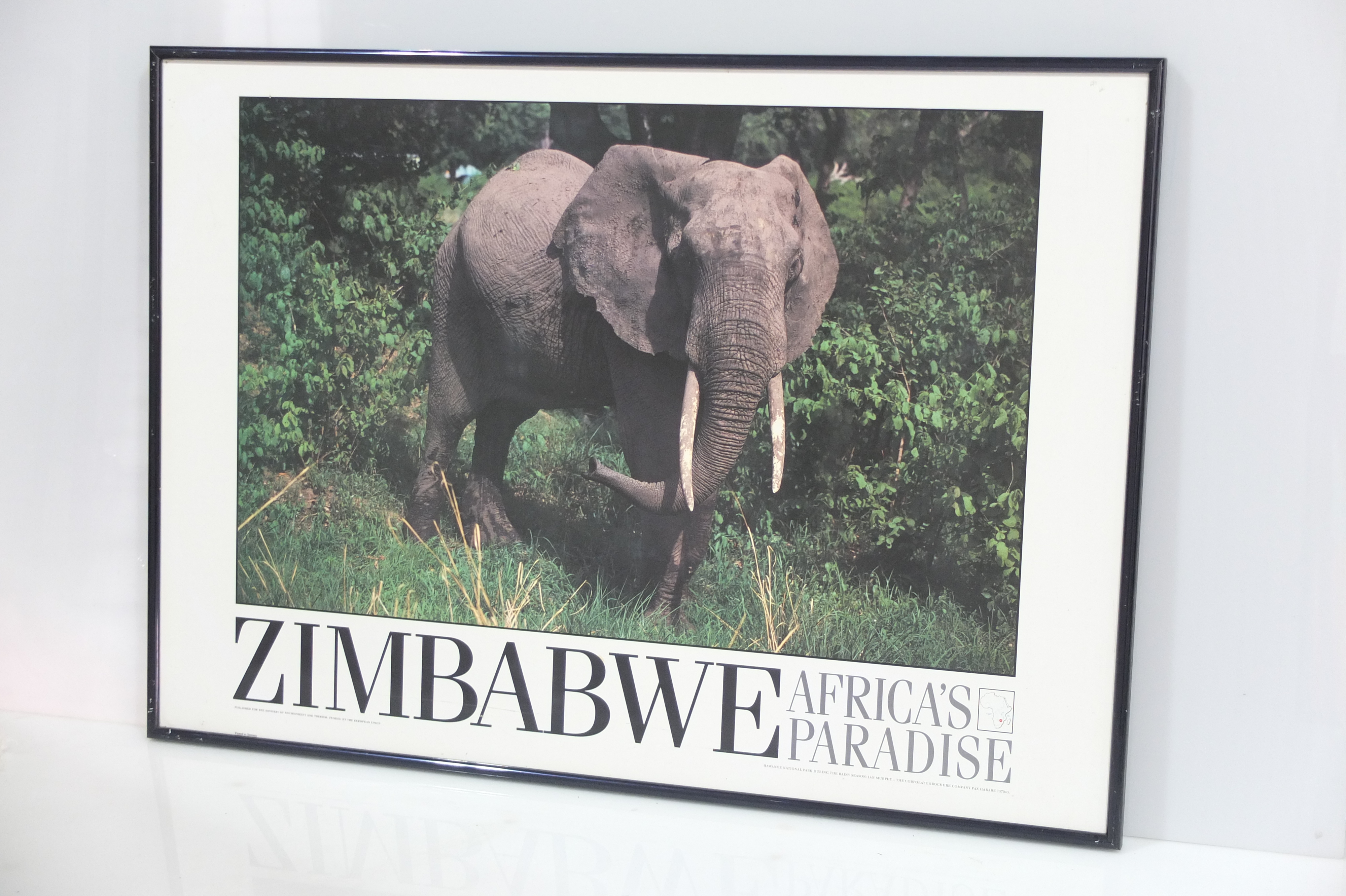 Pair of Large Framed Zimbabwe Posters Lot 877384 ALLBIDS