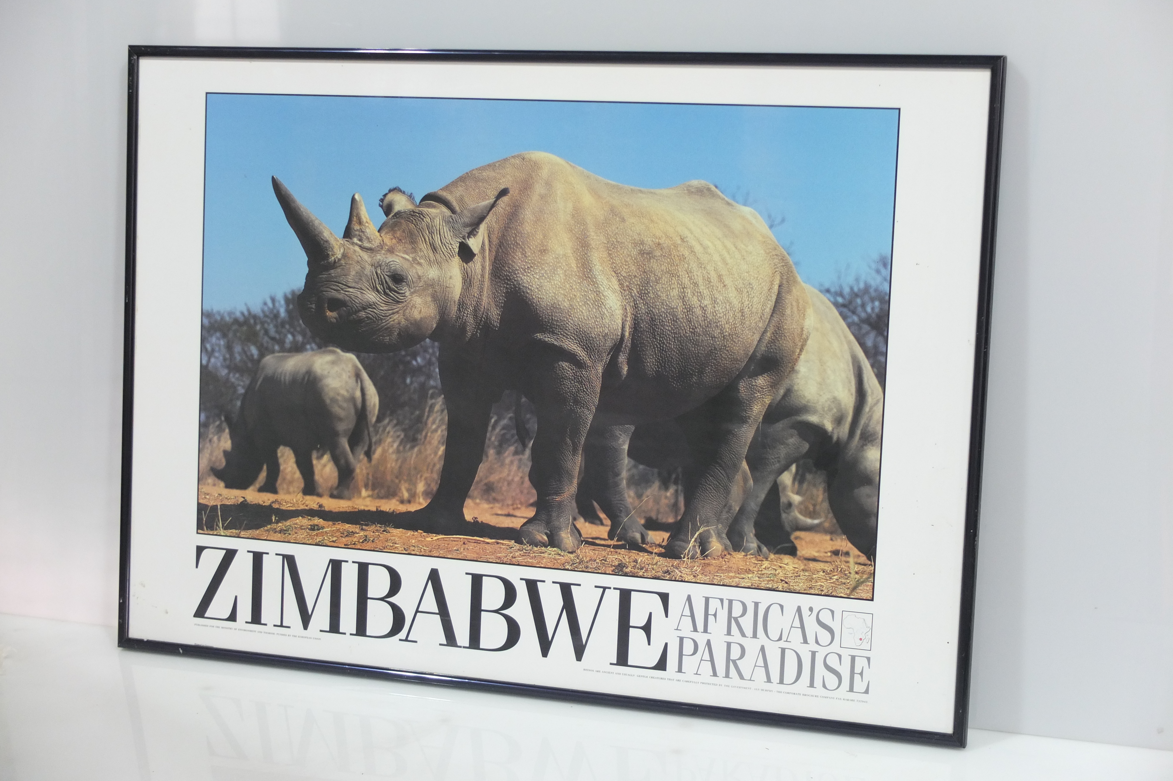 Pair of Large Framed Zimbabwe Posters Lot 877384 ALLBIDS