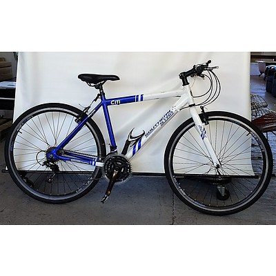 Southern Star Citi 21-Speed Mountain Bike