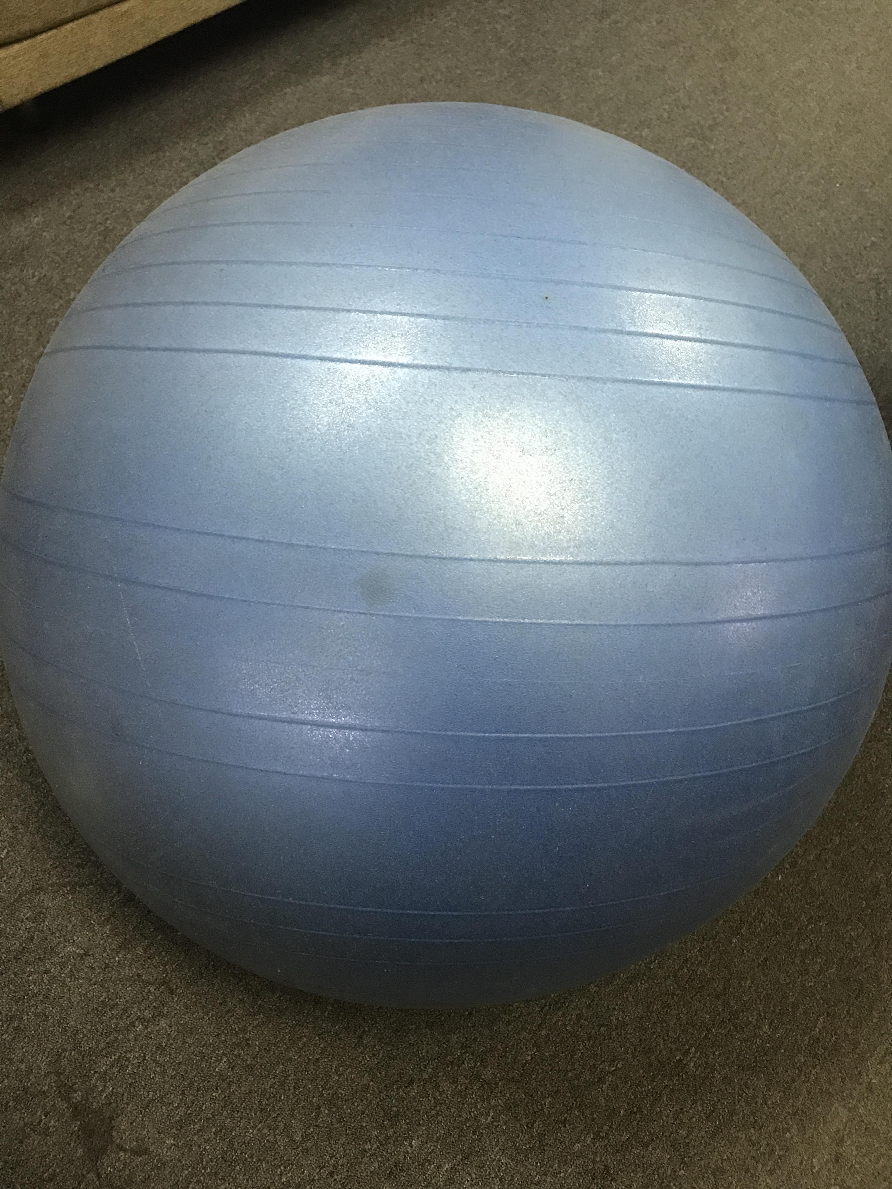 Large Swiss Ball Lot 877951 ALLBIDS