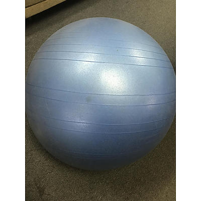 Large Swiss Ball