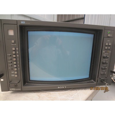 Sony Trinitron 14 Inch Colour Video Monitor