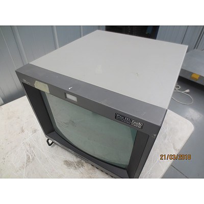 Sony Trinitron 14 Inch Colour Monitor