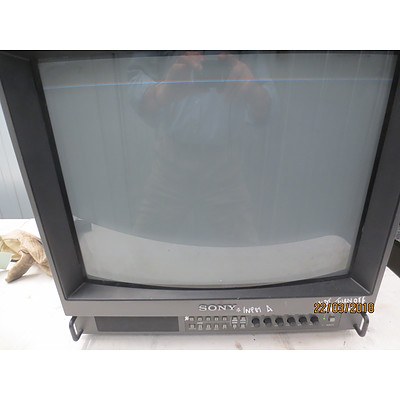 Sony Trinitron 20 Inch Colour Video Monitor