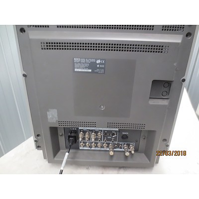 Sony Trinitron 20 Inch Colour Video Monitor