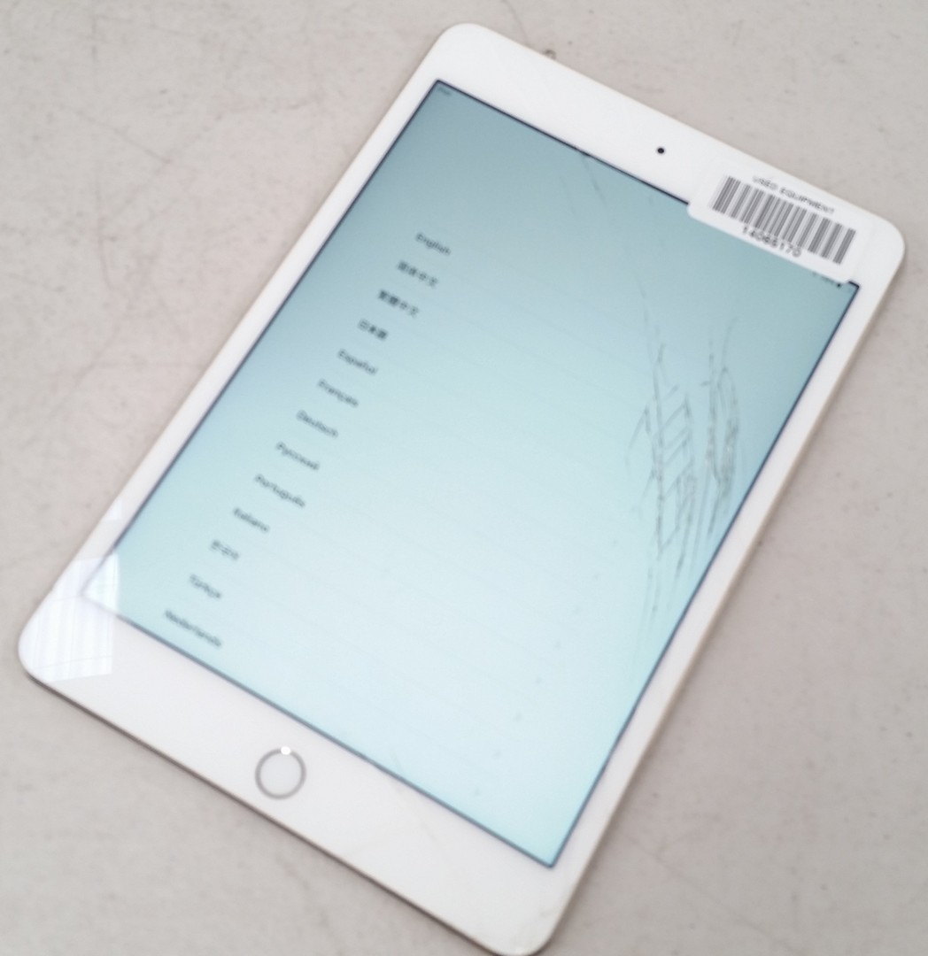 Apple iPad Mini 4 A1538 (WiFi Only) - Lot 892191 | ALLBIDS