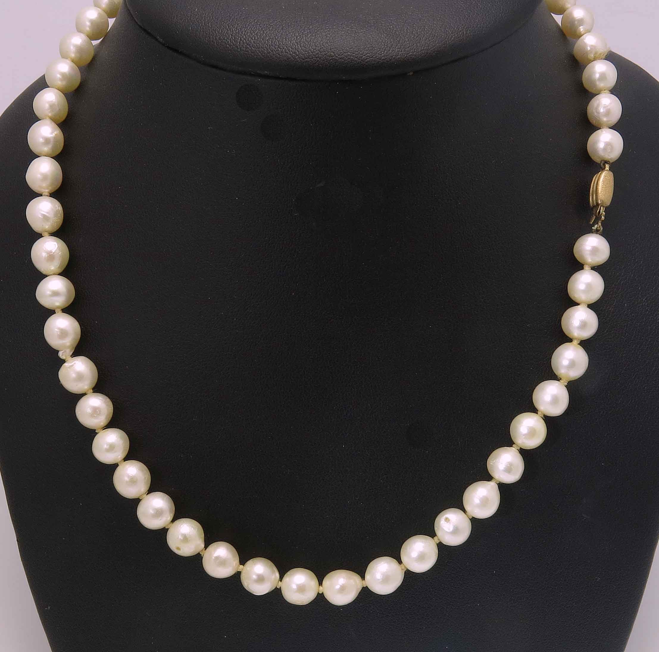 Pearl Necklace - Lot 895964 | ALLBIDS