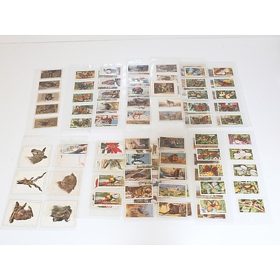 Large Collection of Animal Themed Cigarette Cards