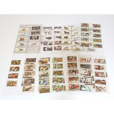 Large Collection of Animal Themed Cigarette Cards