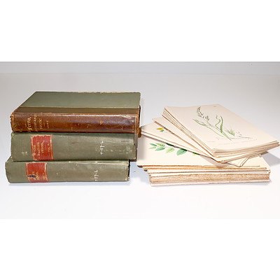 Group of Antique Botanical Books and Bookplates
