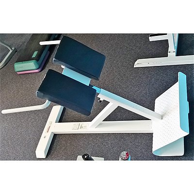 Magnum 45 Degree Back Extension - Commercial Grade