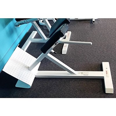 Magnum 45 Degree Back Extension - Commercial Grade