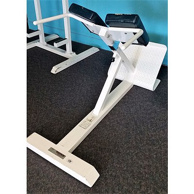 Magnum 45 Degree Back Extension - Commercial Grade