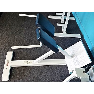 Magnum 45 Degree Back Extension - Commercial Grade