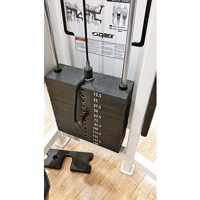 Cybex Glute Press -  Commercial Grade