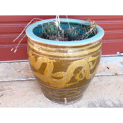 Chinese Glazed Dragon Planter with Cactus