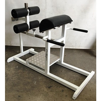 Calgym Glute Ham Raise Machine