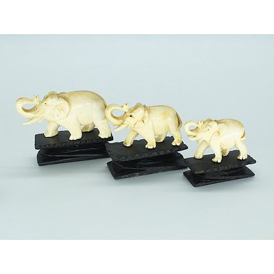 Graduated Set of Three Carved Elephant Ivory Elephants Early to Mid 20th Century