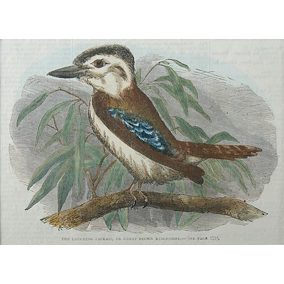 Various Bird Prints & Botanical Exhibiton Posters