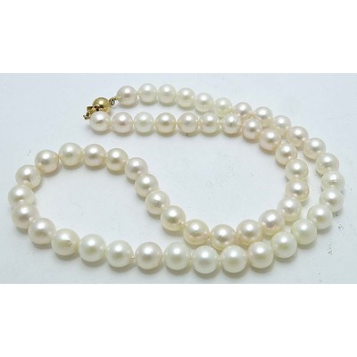 Genuine Cultured Pearl Necklace