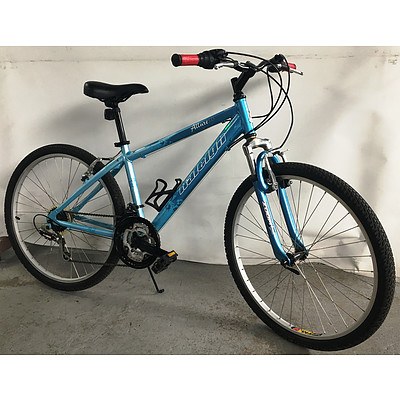 Raleigh Allure 1.0 24 Speed Hybrid Bike