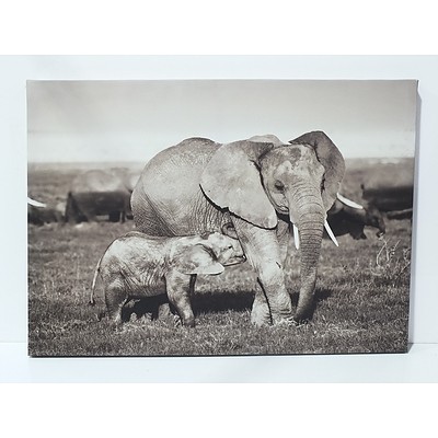 Three Elephant Canvas Prints