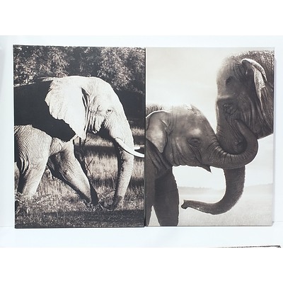Three Elephant Canvas Prints