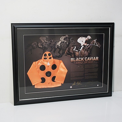 Black Caviar Signed Mini Silks Memorabilia Display