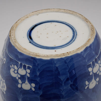 Antique Chinese Blue and White Ginger Jar Decorated with Prunus, 19th Century