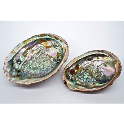 Pair of Large Mother of Pearl Abalone