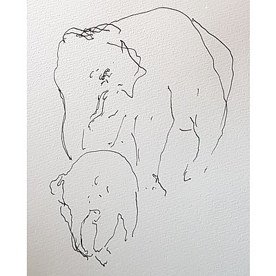John Adam, Elephant and Calf 2