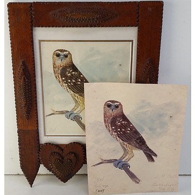 Two John Mitchell Cantle (1849-1919) Owl, Watercolour and Stone Lithograph, 1899