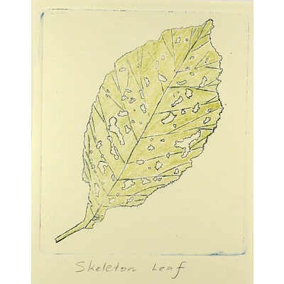 Postcard - Skeleton Leaf