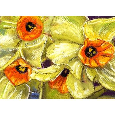 Postcard - Daffodils
