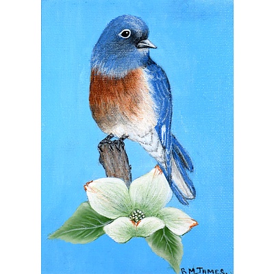 Postcard - Bluebird