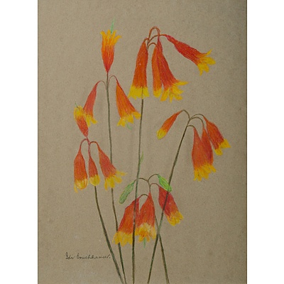 Australian School (2): Ida BRUCHHAUSER (1916-2003) & Artist Unknown Pastel