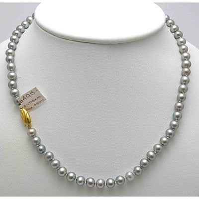Silver-black Cultured Pearl Necklace with 9ct Gold Clasp