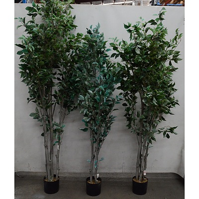 Imitation Ficus Trees- Lot of Three - Brand New - RRP Over $1100.00