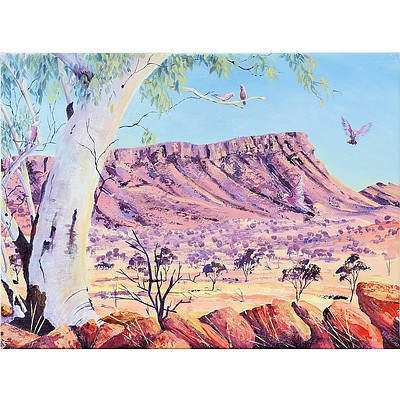 Patricia Weeks Mt Gillen Central Australia Oil on Canvas