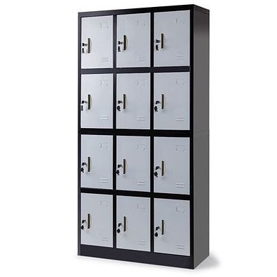 Baumr-AG Black/Grey 12 Door Steel Cabinet Gym Lockers