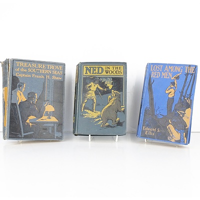 Three Books, Including Ned In The Woods and Lost Among The Red Men