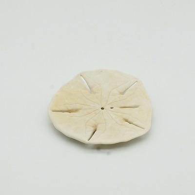 Canadian Sand Dollar Decorated with an Easter Lily